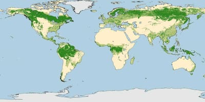 L'australie forêts de la carte